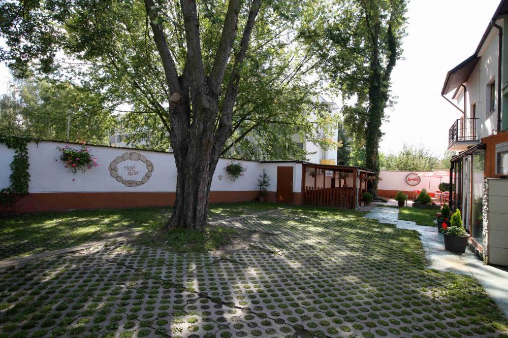 foto_42820 (1)